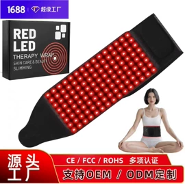 电子美容仪;面罩美容仪;电热护膝护腰