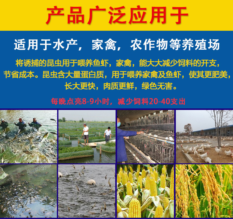 O1CN01jEJ7qf1Untjo5280f_!!7423