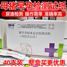 40֧�i�Üy��ԇ��ĸ�i���Йz�yԇ�����f�A���i���Мyԇ���B�i�O��