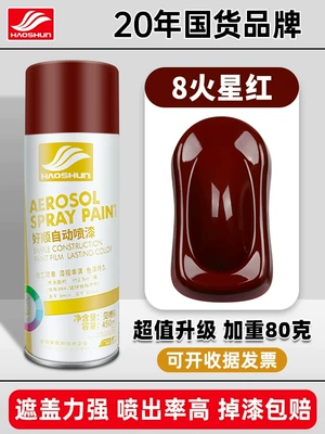 Avtomobil boyası — Matte Hand-Shaken Spray Paint Can - mars-red-450mlbottle