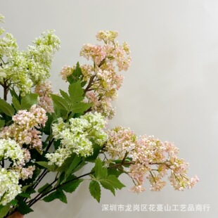 ���滱�����㻨���滨�ٻ��͏d�����[�O��c�bٻ������廨�쾰