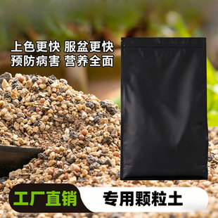 ���@ֲ�ͨ�������I�B��̿���������ʯ���Լ��w���Nֲ�ЙC��