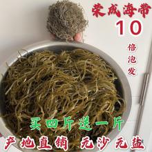 海带干货批发山东海带丝无沙无盐加州牛肉面昆布丝海鲜水产品整箱