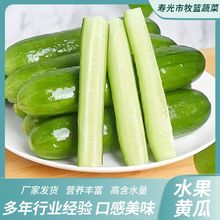 �������rˮ���S�� ���۶�֭ �r��ֱ�� ���l5����ʳ�Fժ�F�l����