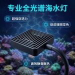 厂家批发鱼缸专用海水灯全光谱led灯usb照明鱼缸灯防水夹灯跨境