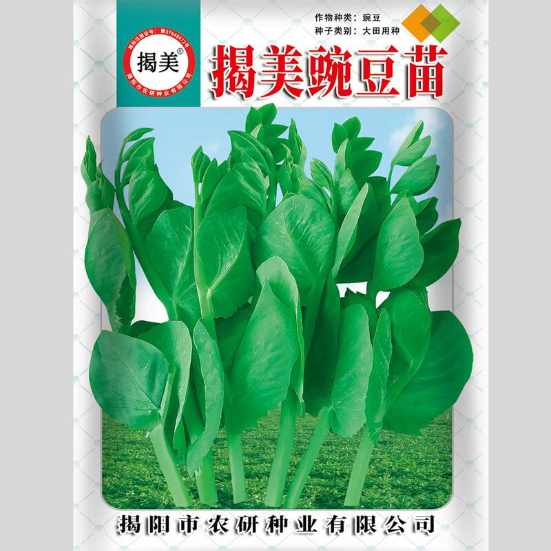 Jie Mei Pea Seedlings - Sweet and tender pea tips for eating without the leaves - Balcony home-grown vegetable seeds - 25g pack