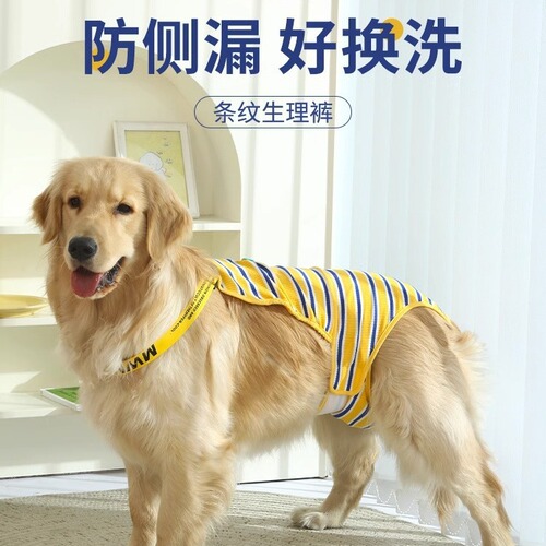 Dog menstrual pants for large dog bitches Labrador anti-mating female big dog bitches menstrual underwear golden retriever aunt pants