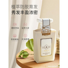 洗发水防脱育发男女芙緹生姜洗发露洗头膏一件代发