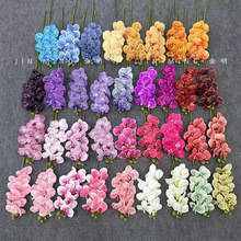 Ʒ^m3D^ cdiyֹhbٻ