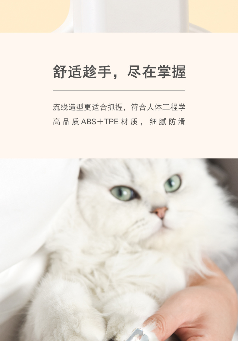 带灯猫剪 (10).jpg