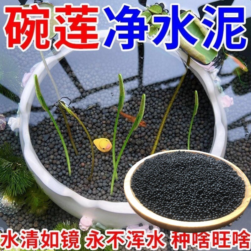 碗莲专用水草泥高肥力陶粒睡莲水培植物造景营养臭水浑水鱼缸