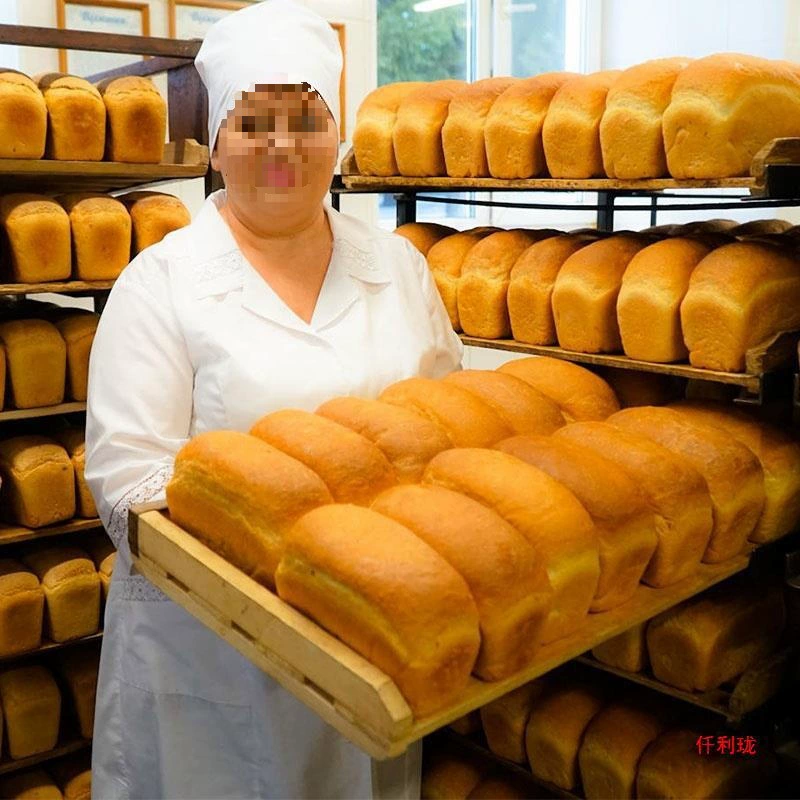 Русский хлеб Далиба из цельной пшеницы, обезжиренный, без масла, заменитель хлеба из ржаной муки, многозерновой завтрак, питательный продукт