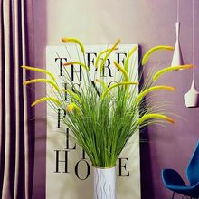 湷βͲݸɻ͏dbٻҕPӼҾGɫ[O