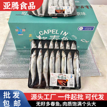 1号满籽多春鱼现货冰鲜多春鱼海鲜水产新鲜冷冻海鱼多籽鱼多春鱼