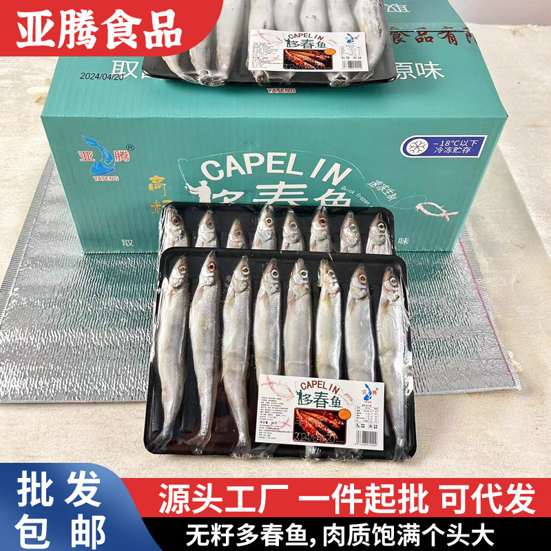 No. 1 Full-Seeded Spring Fish in Stock, Chilled Spring Fish, Seafood, Aquatic Products, Fresh Frozen Sea Fish, Multi-Seeded Fish, Spring Fish No. 1 Full-Seeded Spring Fish in Stock, Chilled Spring Fish, Seafood, Aquatic Products, Fresh Frozen Sea Fish, Multi-Seeded Fish, Spring Fish