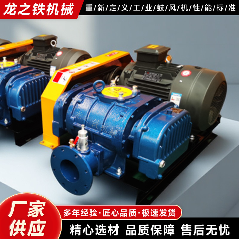 【现货速发】SR125L工厂直供罗茨风机 上午下单下午发货 指导安装