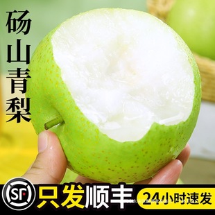 �������rˮ�����ڴXɽ���殔����S���]��������ʹ���ѩ������