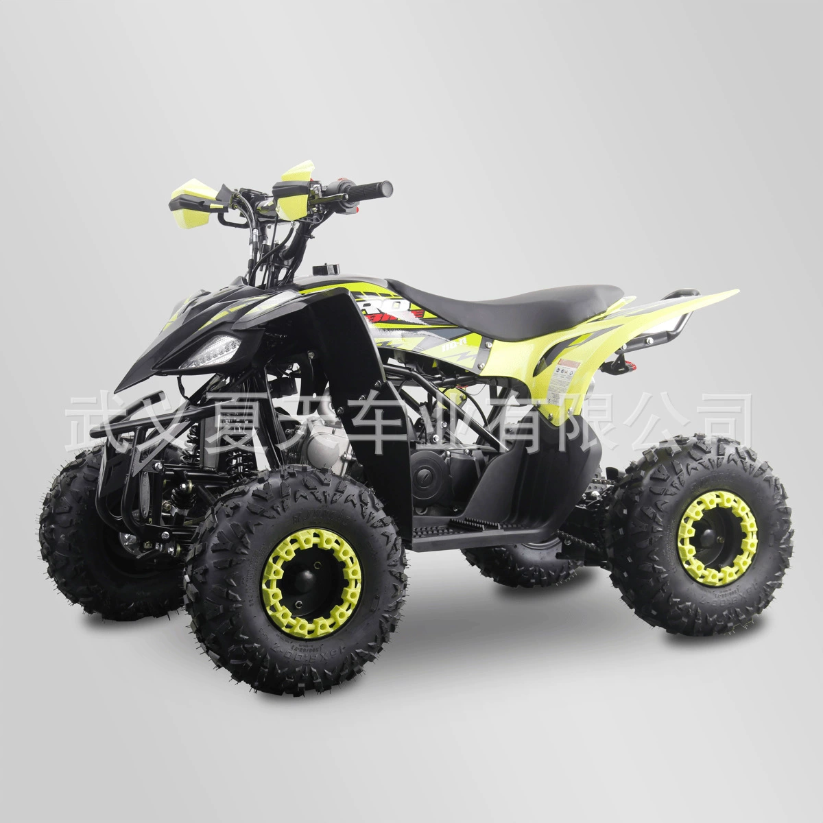Завод производит ATV пляжная машина 125cc четырехколесный внедорожник пляжное транспортное средство может выпускать большой и малый объем внедорожников