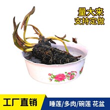 厂家直销加厚水培盆荷花水仙碗莲睡莲盆塑料圆形花边无孔印花盆