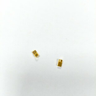 TWS�o���{�����C����~������pogopin늘O������~��