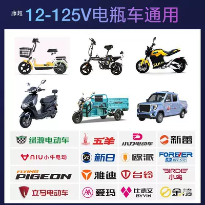 Electric Vehicle: Other Auto Parts and Accessories