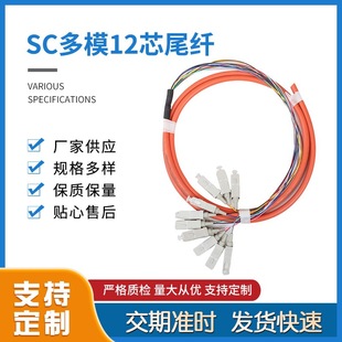 Hot Selling Good Goods High-looking color fiber SC multi-mode 12-core pigtail durable quality guaranteed fast delivery