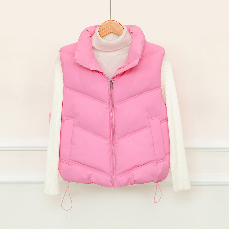 Cotton Vest for Women 2025 Autumn and Winter New Korean Style Small Fragrant Style Stand Collar Sleeveless Cotton Vest Outer Jacket Trendy