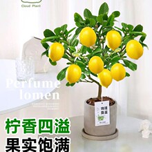 ��ˮ���ʘ䎧������ˮ����ʳ�Ø����҃��̨�ļ����B�Gֲ����͏d