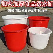 塑料水缸带盖加大加厚室外储水豆腐缸豆浆酒缸发酵桶食品级蓄水桶