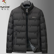 ��ľ�B�p����q���ж̿����I2025�����¿��������e��ů���b����