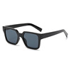 Classic universal trend sunglasses, European style, suitable for import