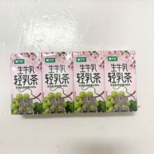 养歆 生牛乳 轻乳茶栀子乌龙樱花青提茉莉花雪芽味夏季解渴清爽饮