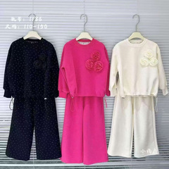 跨境秋天女童烫钻花朵套装 中大童欧美洋气110-150码 25年秋款