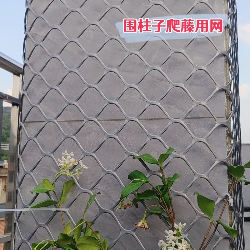 Planta enredadera verde eneldo red de pared superior plástico hombre enredadera red enredadera enredadera flor rosa decoración jardinería pared tortuga