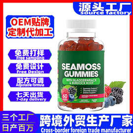 外贸保健软糖厂家oem跨境亚马逊爆款Sea Moss海苔小熊软糖gummies