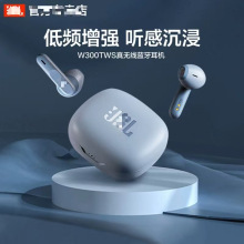 �羳���� W300TWS�����������������ʽ�����ܲ����˶���ˮ������
