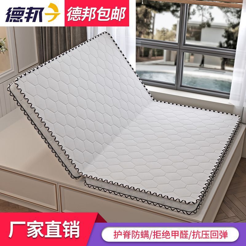 Natural 3E Coconut Palm Mattress Children's Spine Protection Hard Mat Economical Foldable Tatami 1.95m Home Use