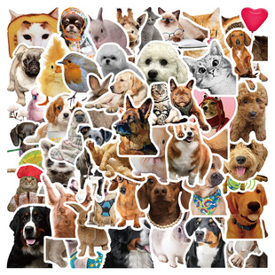 50 cartoon animals cats and dogs meme hand account stickers luggage guitar computer skateboard collection waterproof stickers