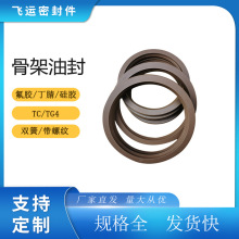 唇形tc骨架氟橡胶丁晴硅胶密封圈o型圈制品汽车油封o-ring