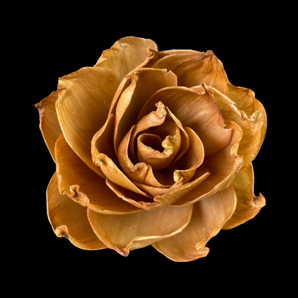Aromatherapy, blue fresh diffuser contains rose