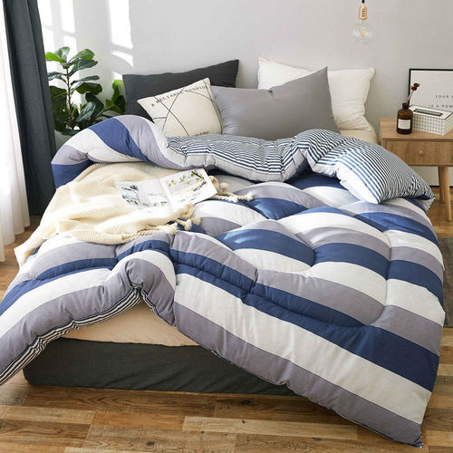 Quilt thin winter quilt spring and autumn quilt core student dormitory single winter warm home quilt air conditioning bedding winter