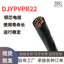 国标DJYPVPR22电缆线计算机无氧铜芯耐磨铠装仪表信号屏蔽软电线