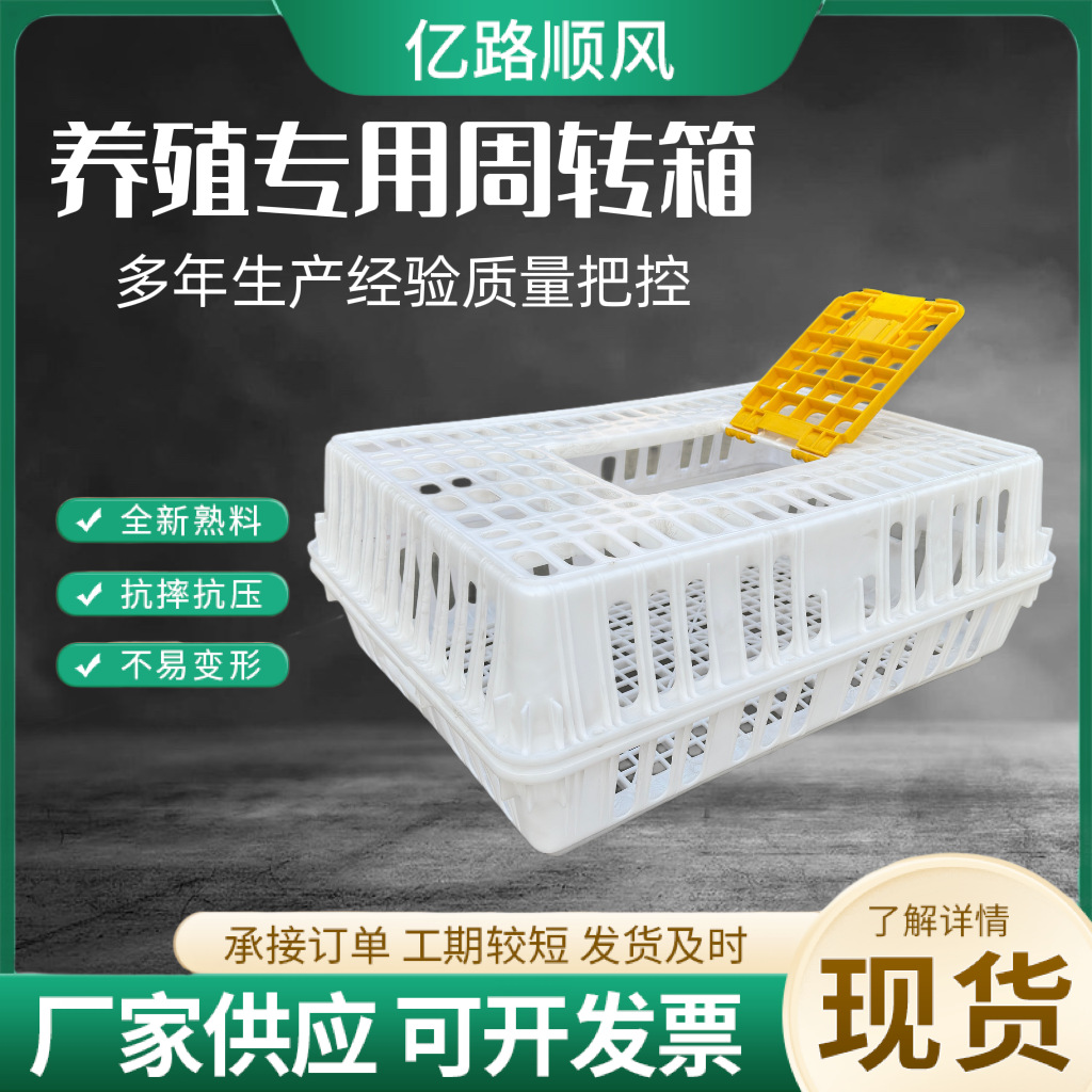 Los fabricantes suministran jaulas de plástico para pollos gruesos, pollos, patos, gansos, palomas y conejos.