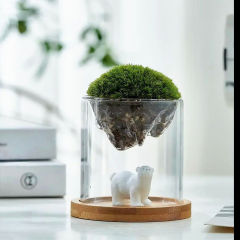 观山杯生态瓶苔藓微景观玻璃花瓶摆件办公室桌面礼物活动创意礼品