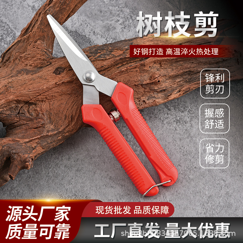 不锈钢剪树枝修剪修枝剪刀园林剪花卉嫁接剪子果树摘果剪Sixing