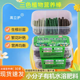 三色植物缓释营养棒 盆栽花卉强效六合一通用型氮磷钾 植物医疗包