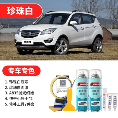 repair galaxy silver gemstone red — Avtomobil boya qələmləri - pearl-white-pearl-white-basic-repair