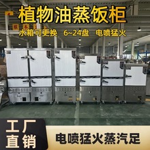 植物油白油甲醇电喷一键启动蒸饭车电打火电燃气液化两用48盘双门