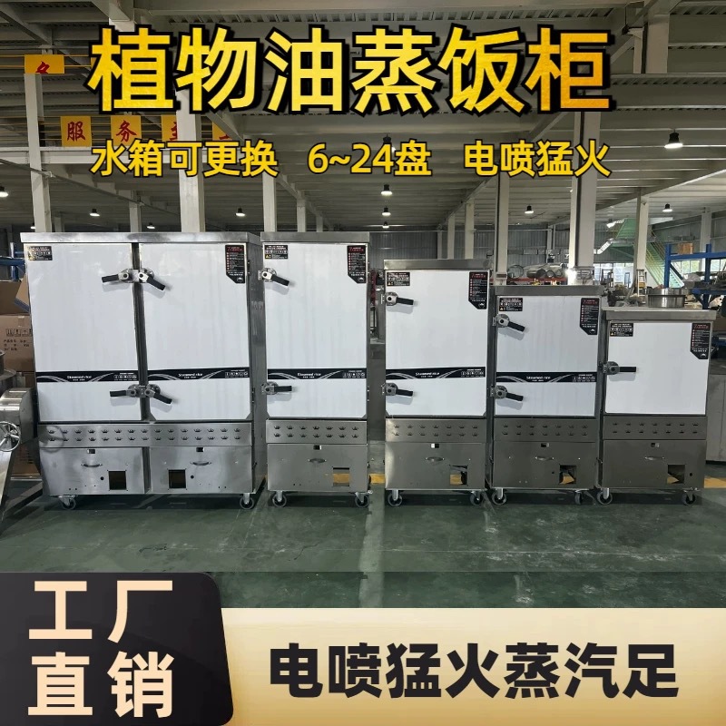 植物油白油甲醇电喷一键启动蒸饭车电打火电燃气液化两用48盘双门