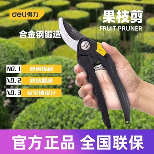 Deli Pruning Scissors Special Scissors for Garden Floriculture Pruning Branches Pruning Fruit Trees Pruning Scissors Gardening Scissors